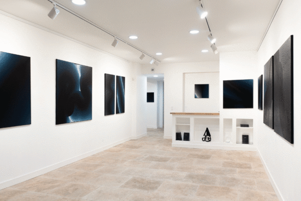 CHRIS PILLOT Peintures abstraites ABSOLU INDIGO Exposition Bordeaux Galerie Art'Gentiers