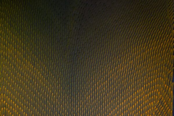 Indigo OR 01 2025 - 120 cm x 60 cm - huile sur toile - 2025