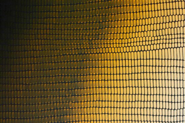 Indigo OR 02 2025 - 120 cm x 60 cm - huile sur toile - 2025