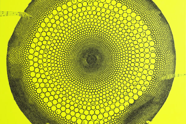 H 0105 - 80x80 cm - Technique mixte, 2014