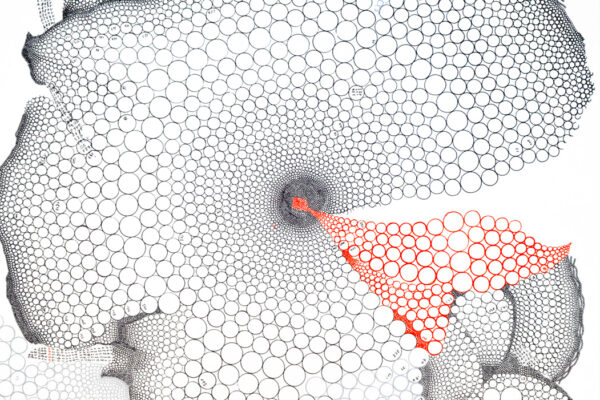 H 0202 - 120 x 120 cm - Technique mixte, 2014