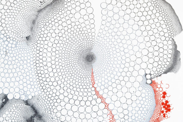 H 0203 - 120 x 120 cm - Technique mixte, 2014