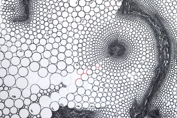 H 1202 - 60x80 cm - Technique mixte, 2014