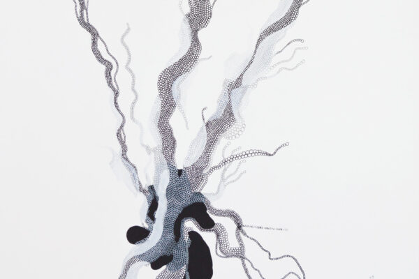 H-animal---60-x-80cm---technique-mixte---2014