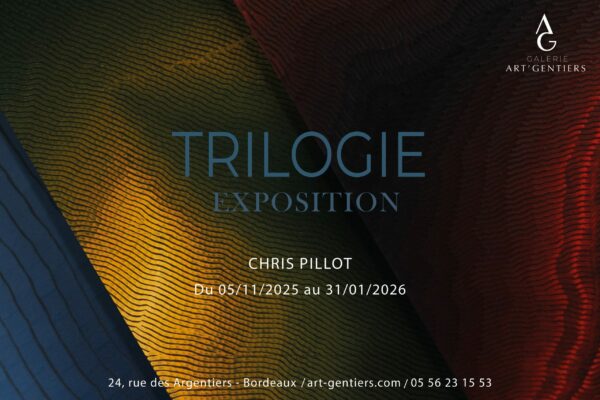 EXPOSITION_Chris pillot exposition