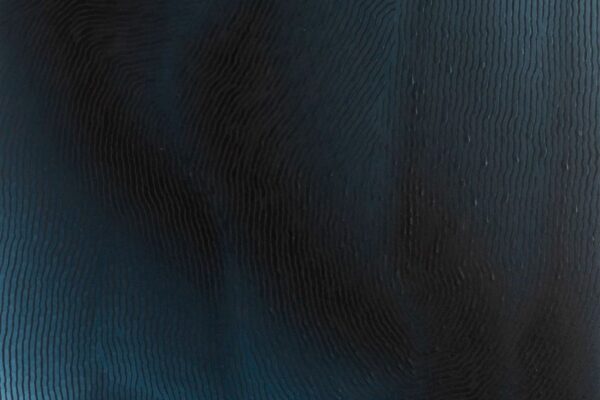 02 2023-120 x 60 cm - Huile sur toile